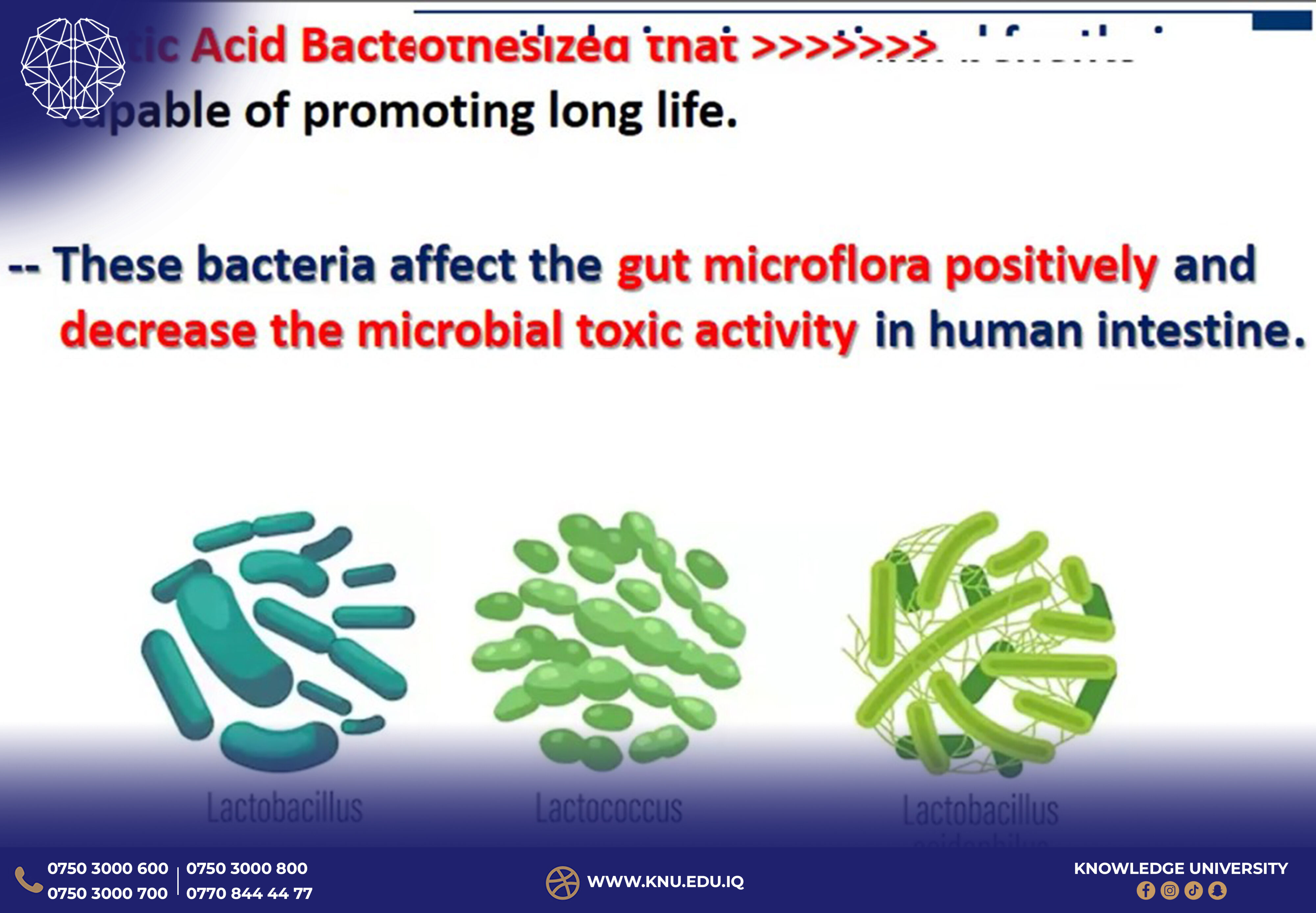 International Online Workshop on Probiotics Conducted by Knowledge University